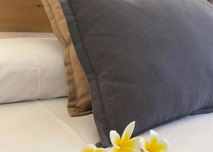 Terra Sana Casita