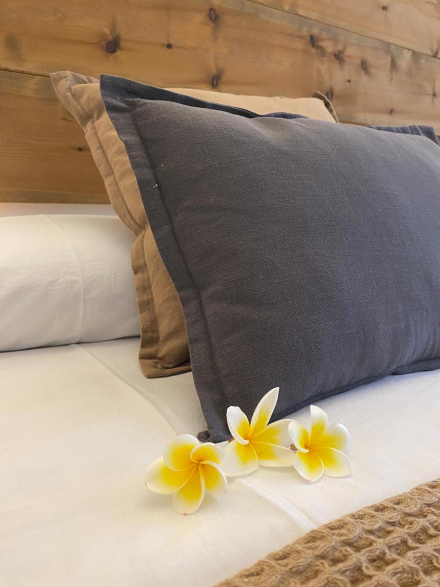 Terra Sana Casita *